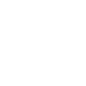 brandvia-logo