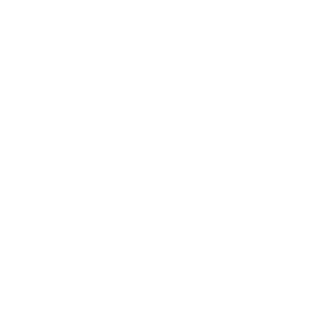 signet-logo
