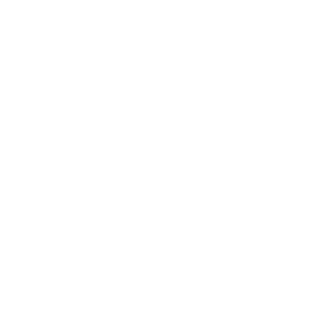 the-image-group-logo